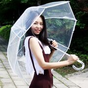 拱形阿波罗透明雨伞，长柄伞抗风透明伞创意，女用公主伞