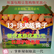 13-19天定制六合活珠子半鸡半蛋全鸡旺鸡蛋喜蛋新鲜15天生鸡胚蛋