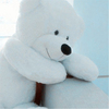 大号毛绒玩具熊泰迪熊围巾熊，1.6米公仔玩具，布熊单熊生日礼物送女