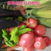 自然熟西红柿农家自种黄瓜，茄子辣椒芸豆，任选五斤有机菜无公害