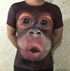 夏季短袖T恤男恶搞3d立体个性动物猩猩搞怪体恤加大码半袖男