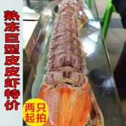 皮皮虾王泰国(王泰国)虾缅甸熟冻肉虾公濑尿虾富贵虾4-5两一只广东4只
