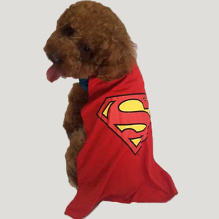 泰迪比熊宠物衣服狗狗斗篷，披风英雄系列披风超人蝙蝠侠衣服