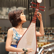 艺考级演奏琴梵巢红酸枝木材质手工制作成人琵琶乐器