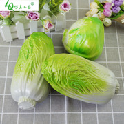 仿真塑料蔬菜模型假大白菜，包菜青菜水果蔬菜，装饰摆设早教摄影道具