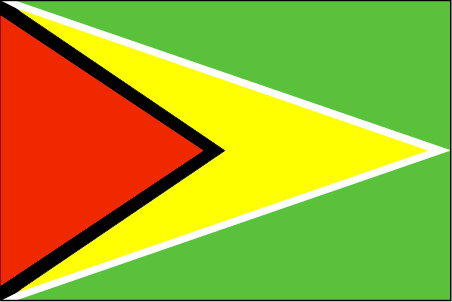 圭亚那国旗5号 各种规格旗帜串旗万国旗党旗团