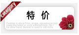 特价