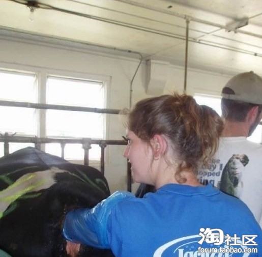 超雷人!世界上最恶心的工作~(组图) - 淘色 新闻